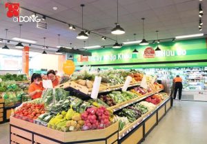 Fruit-and-Vegetable-Display-Rack-supermarket-shelves